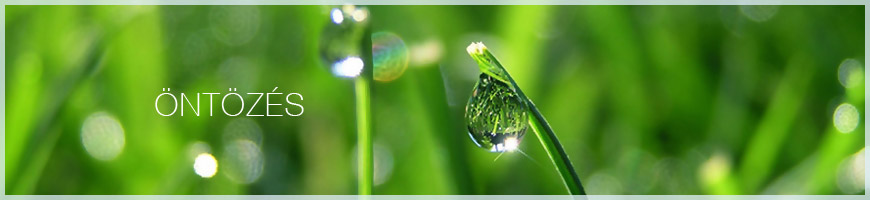 Öntözés